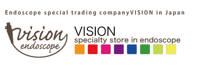 VISION
