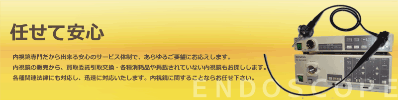内視鏡専門