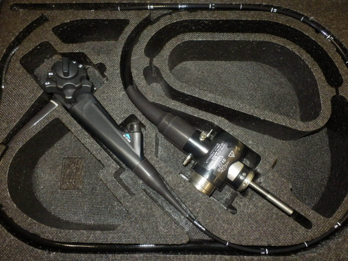 |OLYMPUS DIGITAL CAMERA