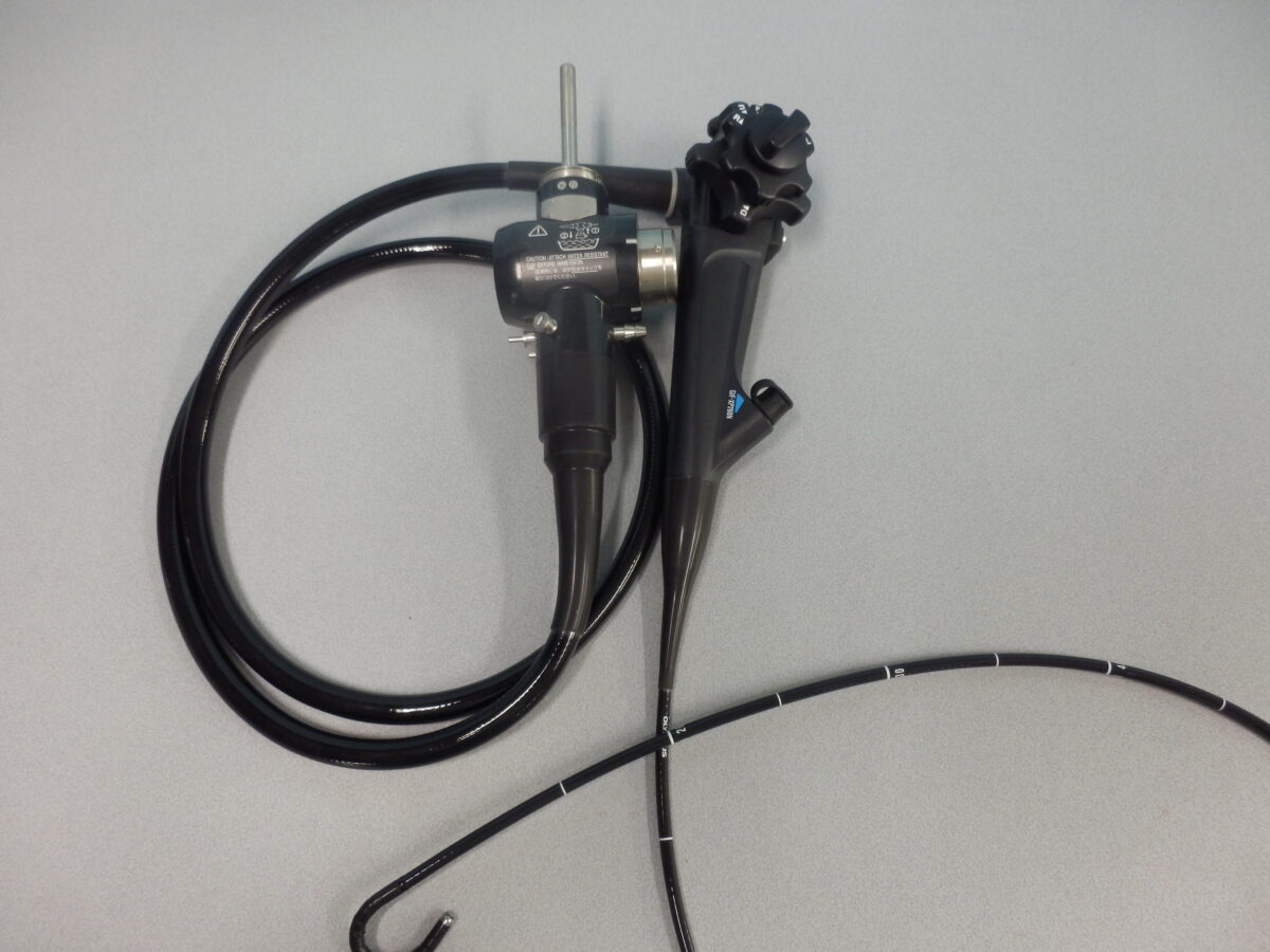 |OLYMPUS DIGITAL CAMERA