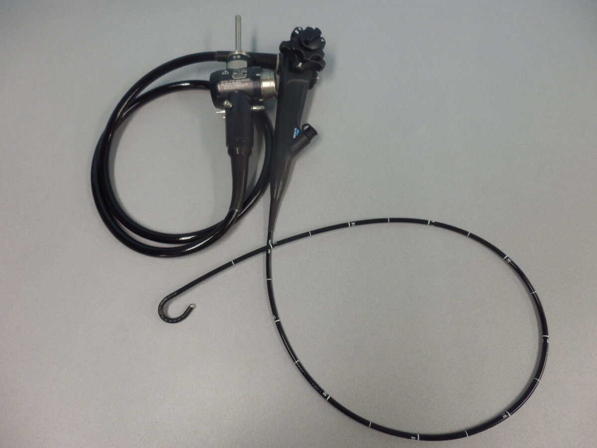 |OLYMPUS DIGITAL CAMERA