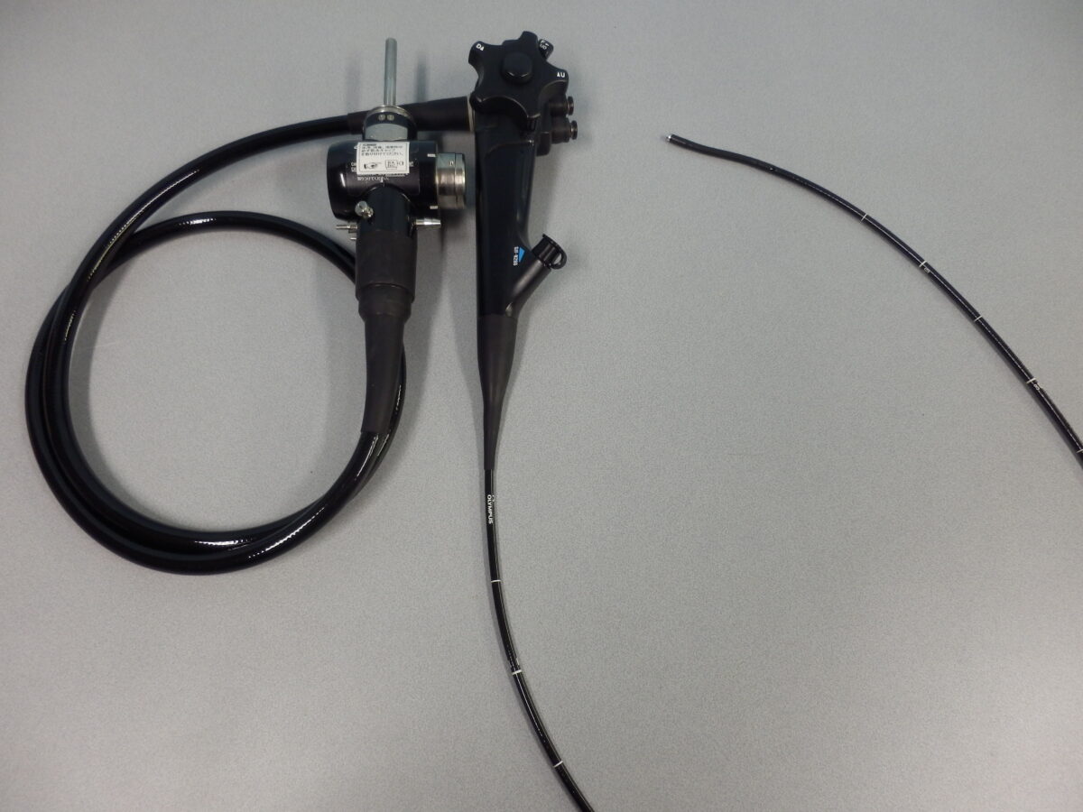 |OLYMPUS DIGITAL CAMERA