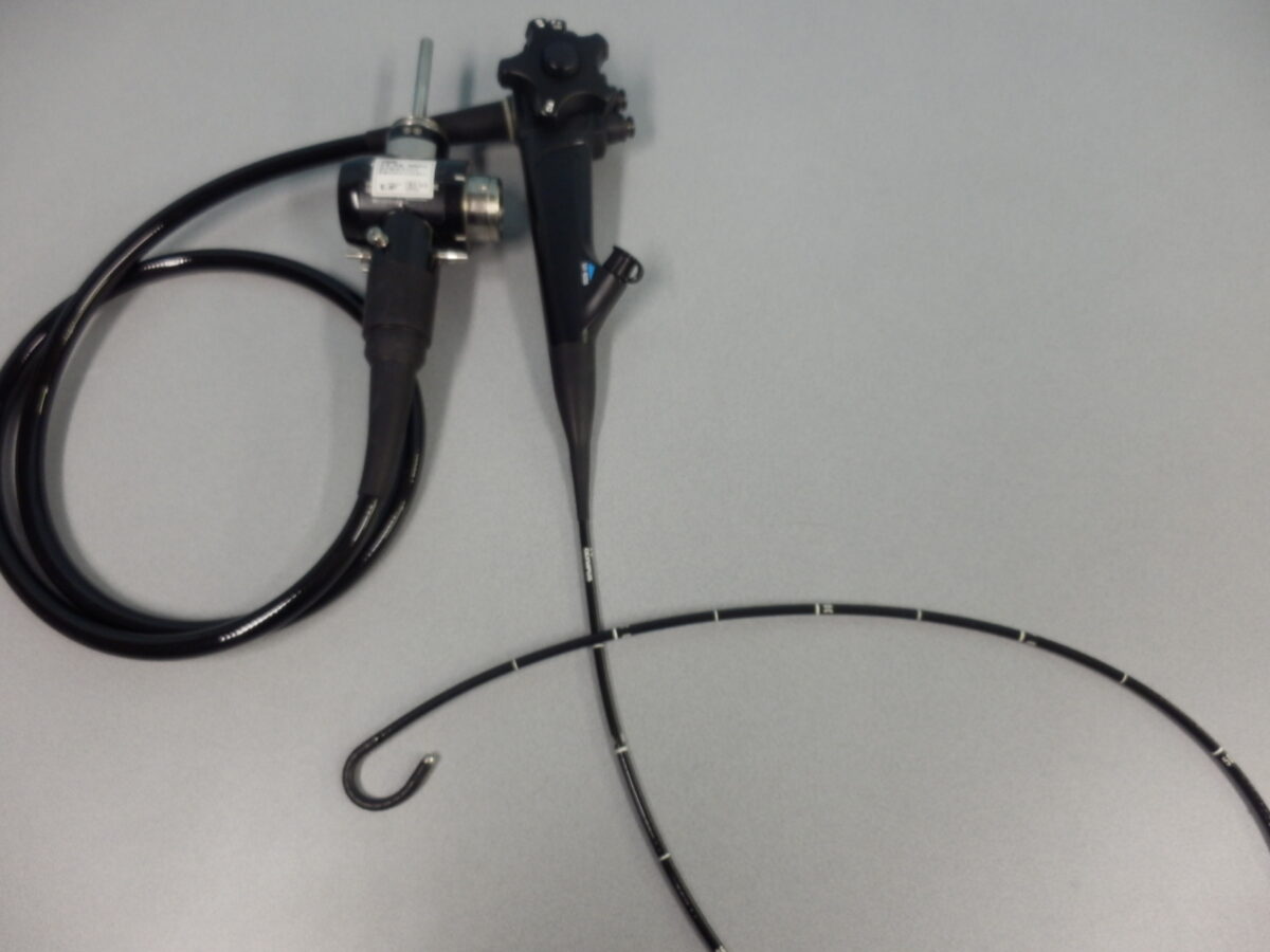 |OLYMPUS DIGITAL CAMERA