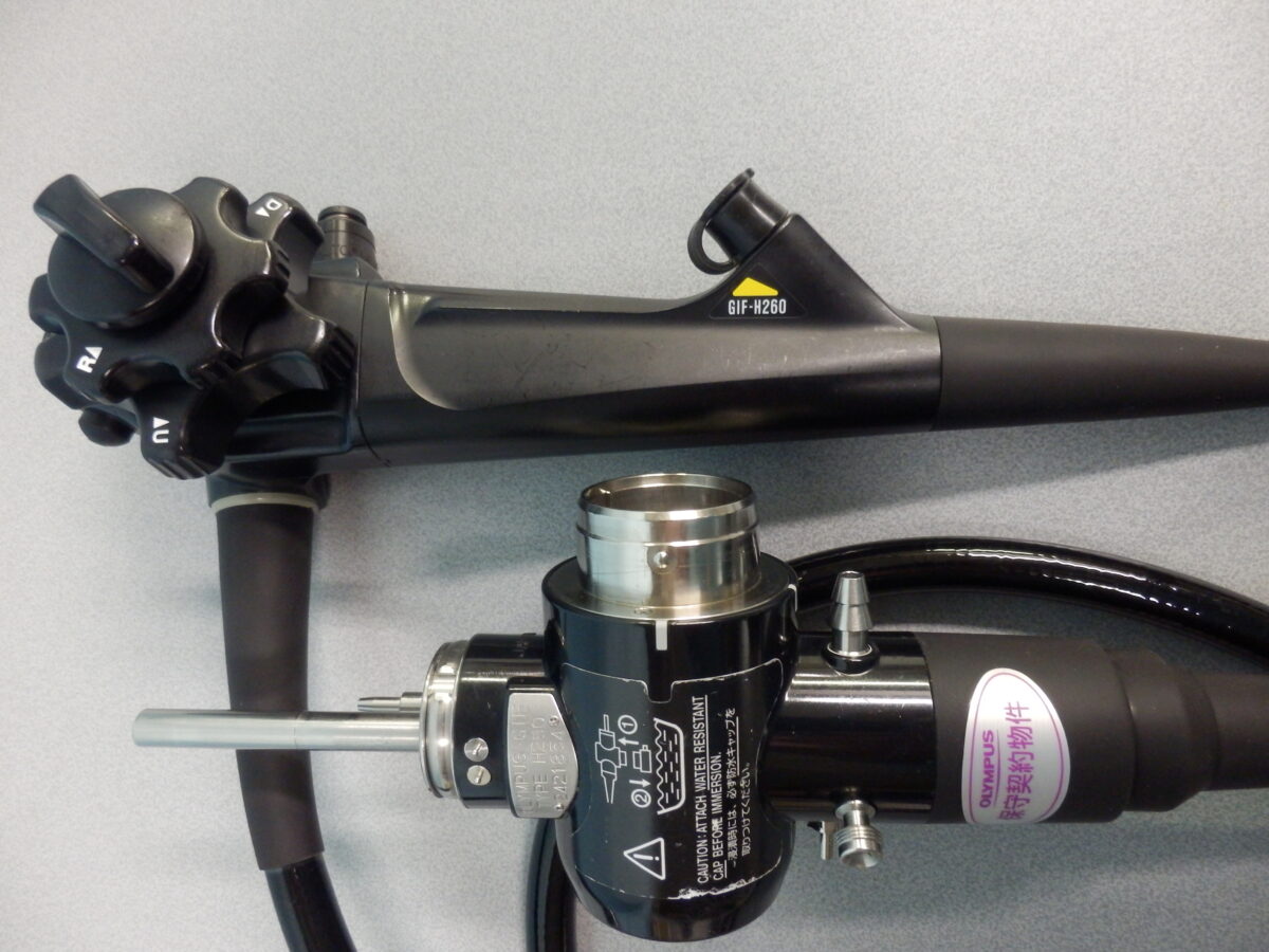 |OLYMPUS DIGITAL CAMERA