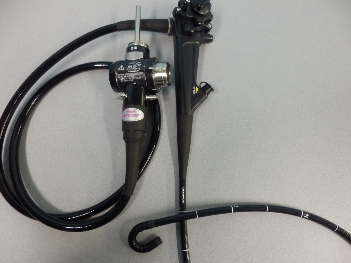 |OLYMPUS DIGITAL CAMERA