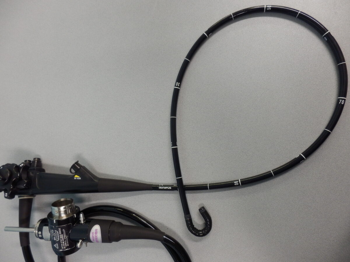 |OLYMPUS DIGITAL CAMERA