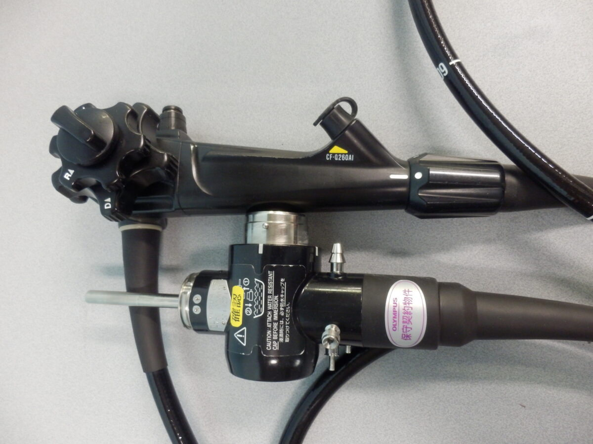 |OLYMPUS DIGITAL CAMERA