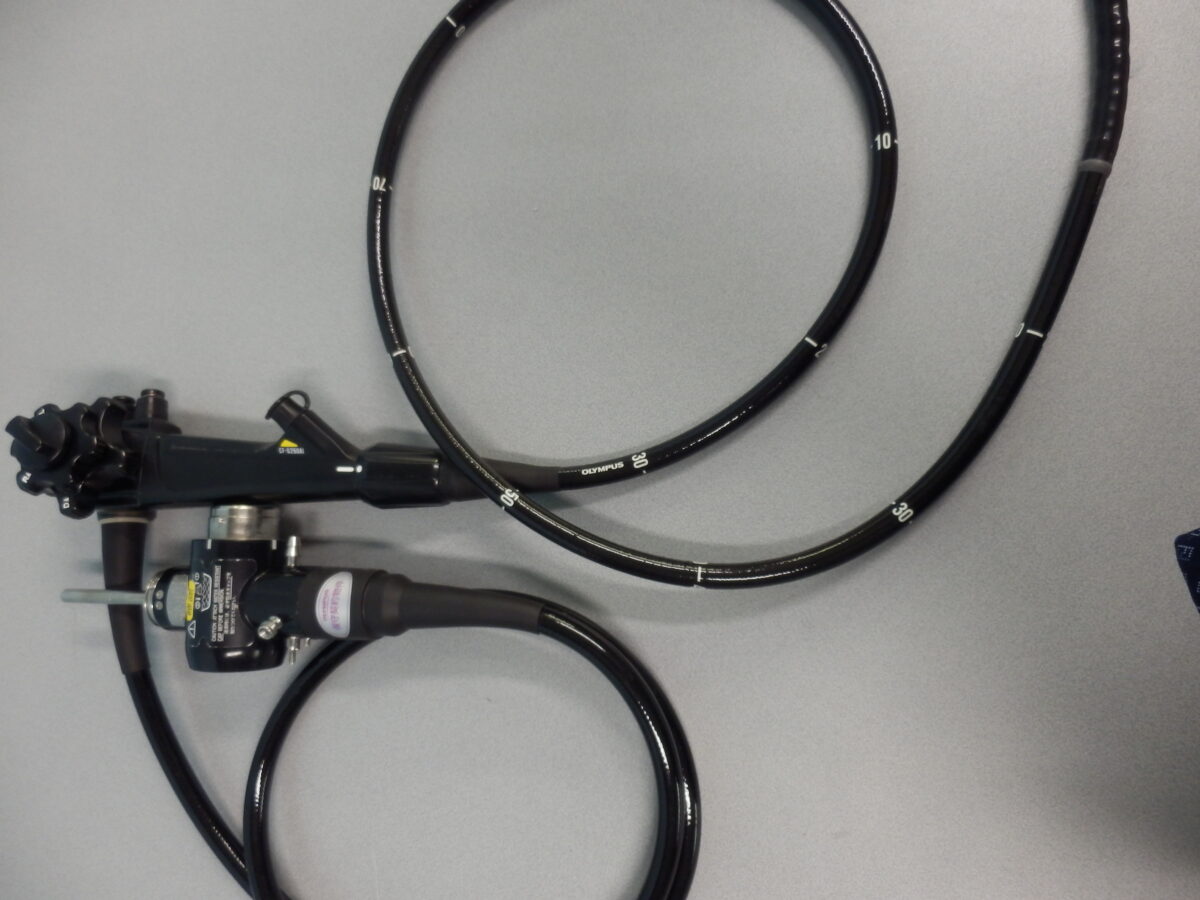 |OLYMPUS DIGITAL CAMERA