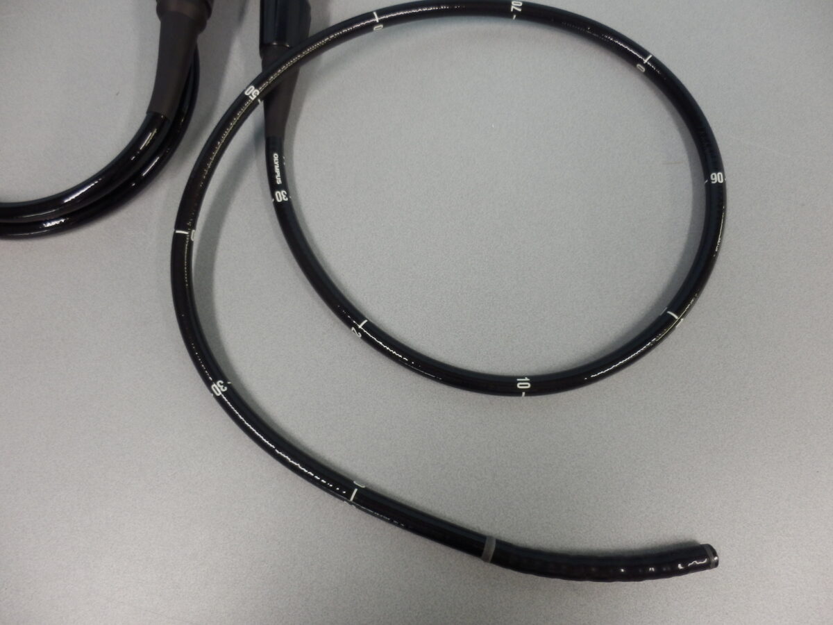 |OLYMPUS DIGITAL CAMERA