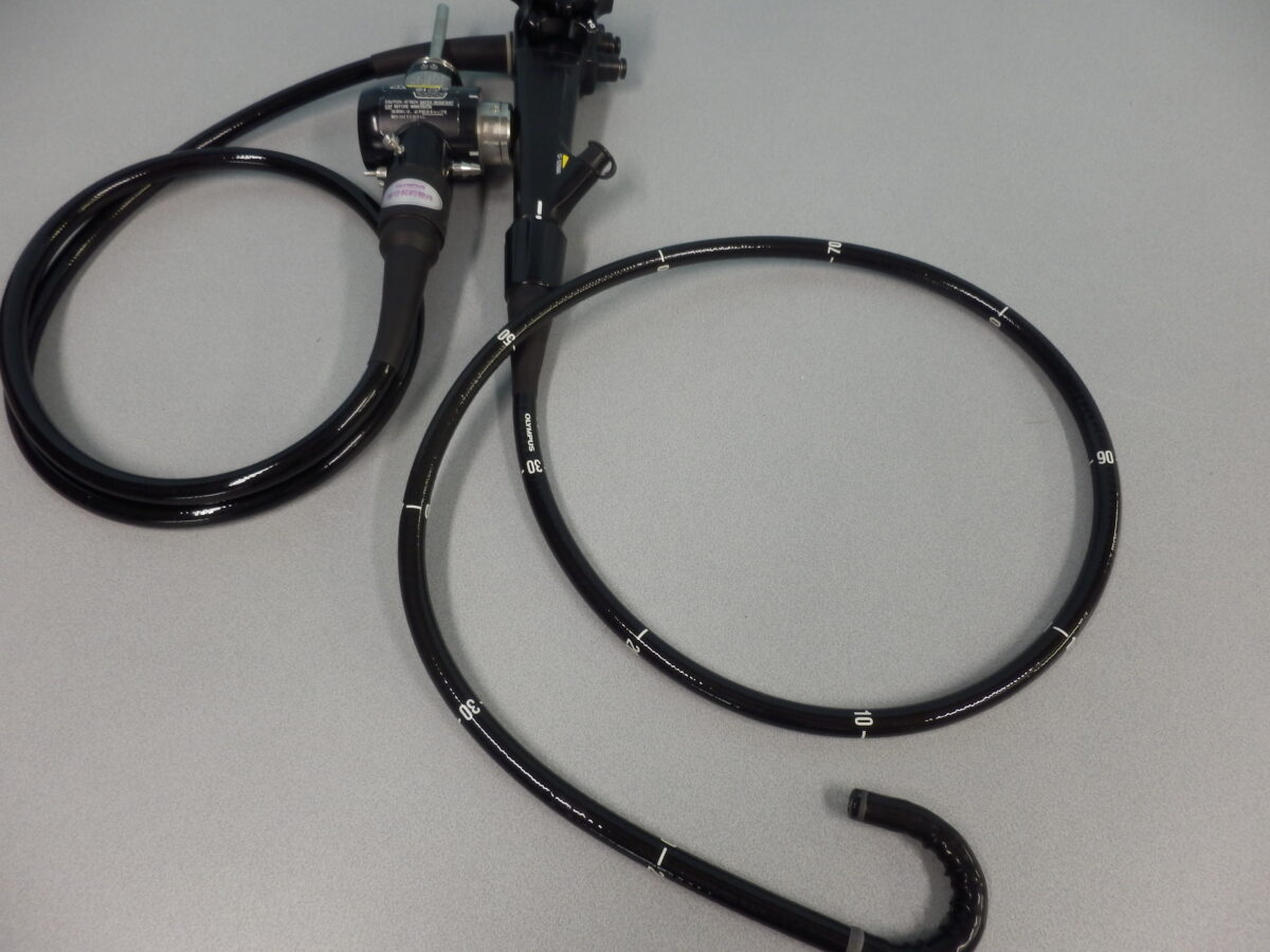 |OLYMPUS DIGITAL CAMERA