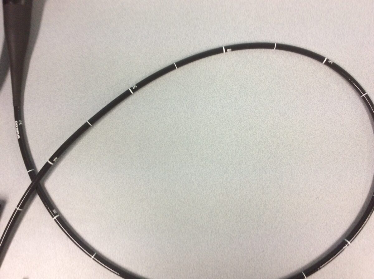 |73750E5A-8F92-4962-92BB-FBCA8E8D81F0