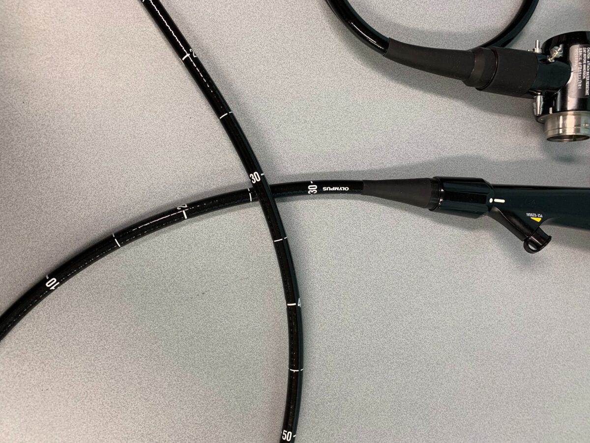 |5D4F8174-C515-48D4-A1D1-6EF3855EE4BC